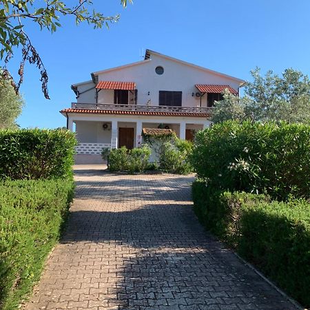 Villa Conti Residence Лакона Экстерьер фото